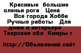 Красивые  большие оленьи рога › Цена ­ 3 000 - Все города Хобби. Ручные работы » Для дома и интерьера   . Тверская обл.,Кимры г.
